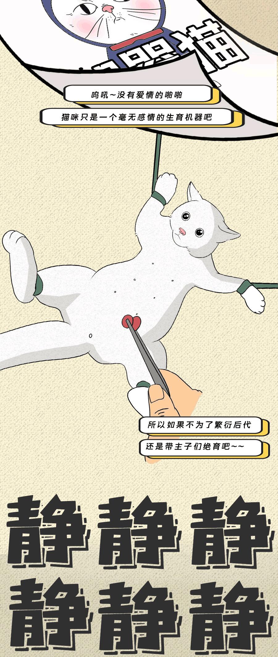 那些羞羞的事:动物是如何啪啪啪的?