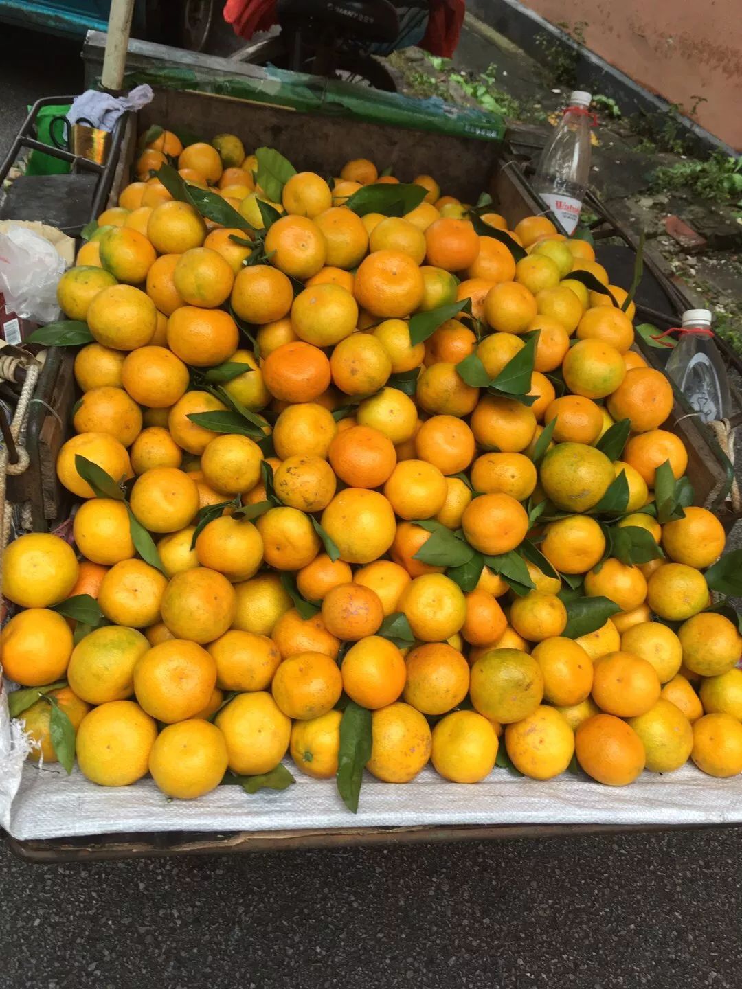 烟雨中的桂林旅行,回忆2018桂林游