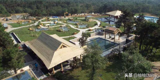 推荐森林温泉,江苏比较推荐的温泉度假