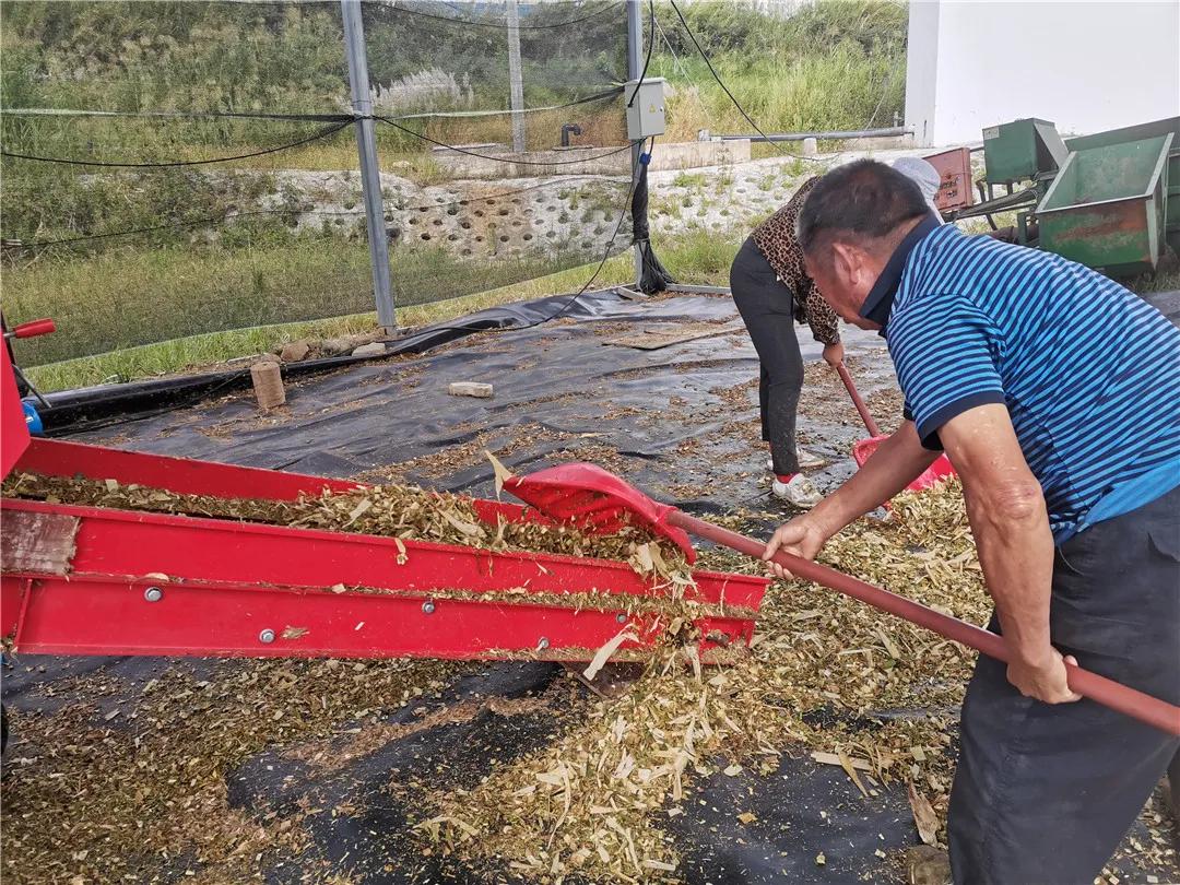 我为农民群众办实事活动方案,秸秆回收再利用变草为宝促增收