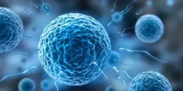 林志玲生孩子吗,林志玲生孩子是顺产吗