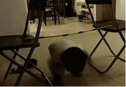 适合冬天宝宝室内游戏,下雨天适合孩子室内玩的游戏