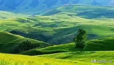 疆内哪里好玩风景好夏天,入疆必看景点大全