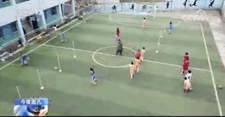 教足球的语文老师,教诗词的语文老师