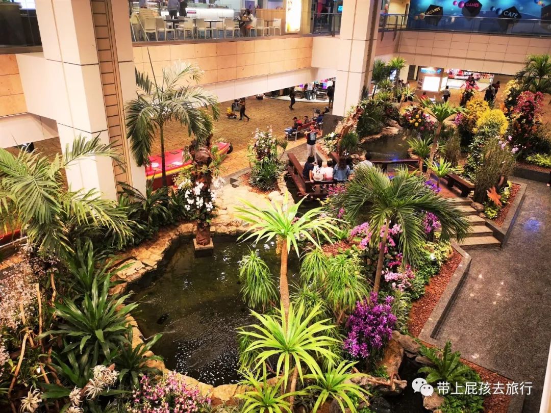 无旅行不暑假亲子游胜地新加坡,新加坡马来西亚亲子游春节