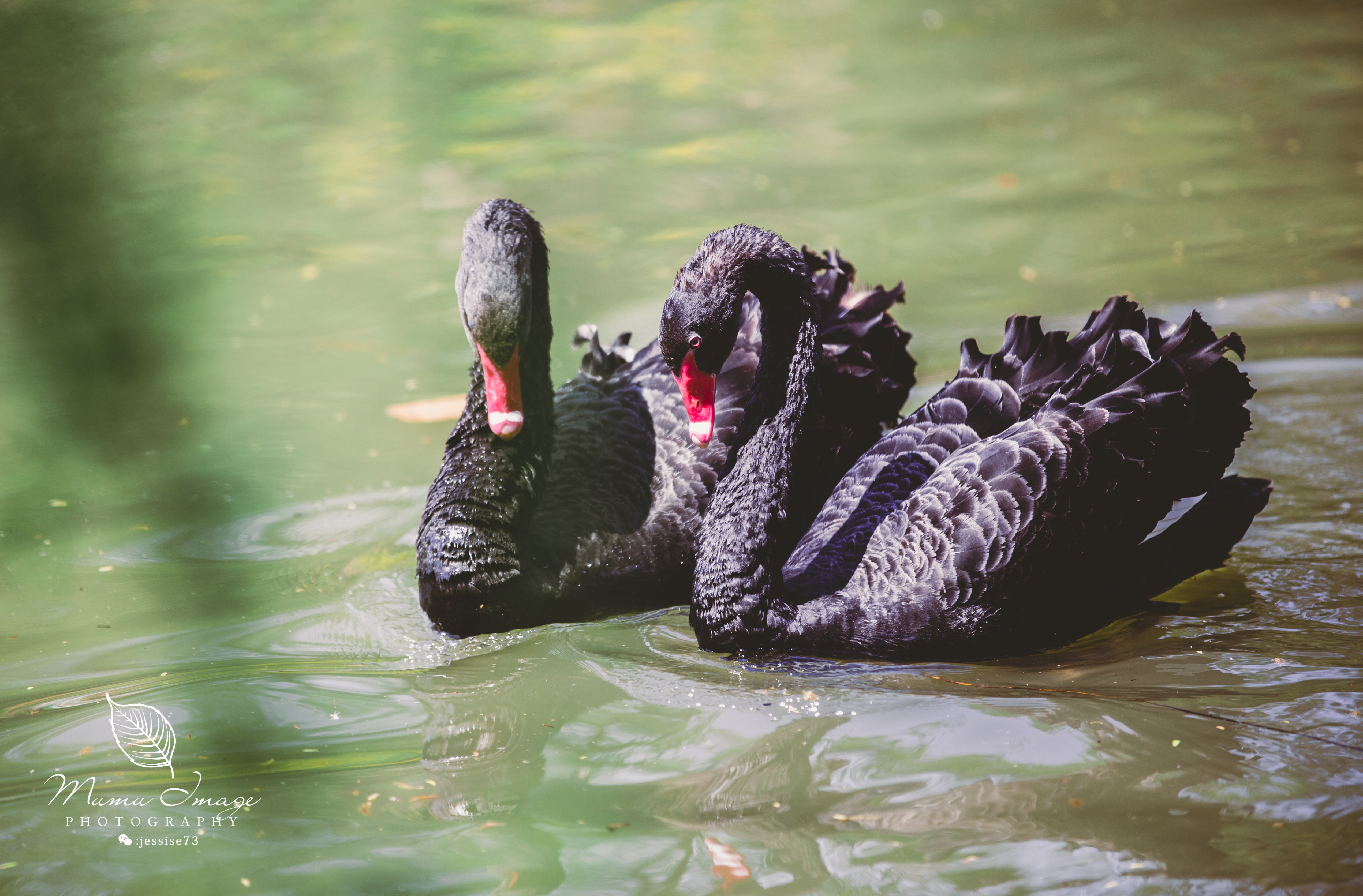 扬州是个不花钱的公园,扬州本地人最喜欢去的公园