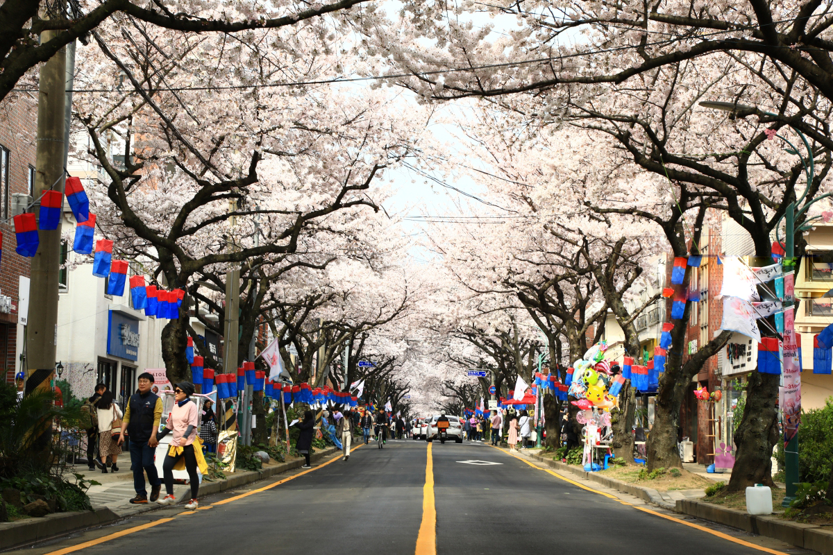 韩国济州岛简短介绍,济州特产冷知识