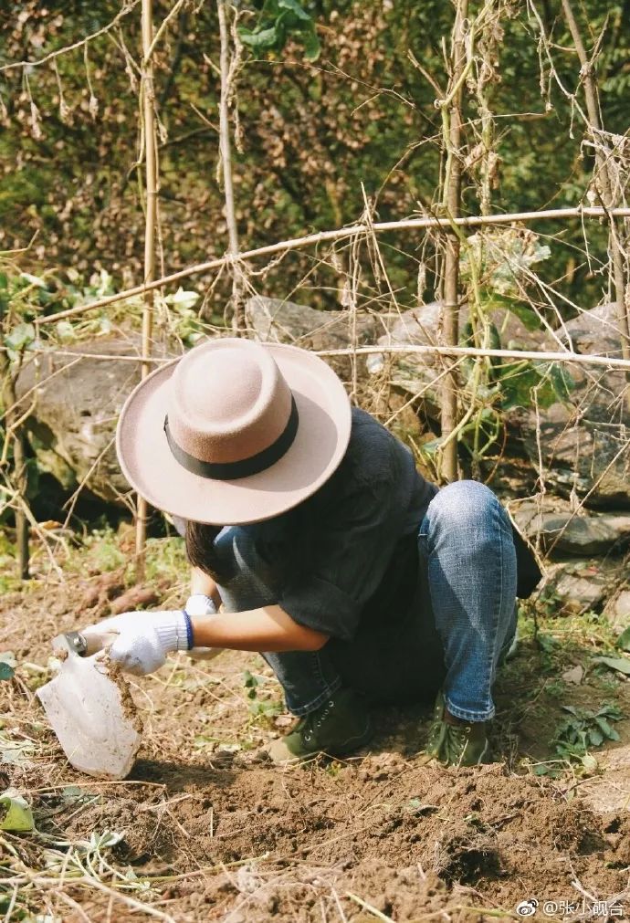 10年前，那个花83元穷游*藏西**的姑娘，后来怎么样了？