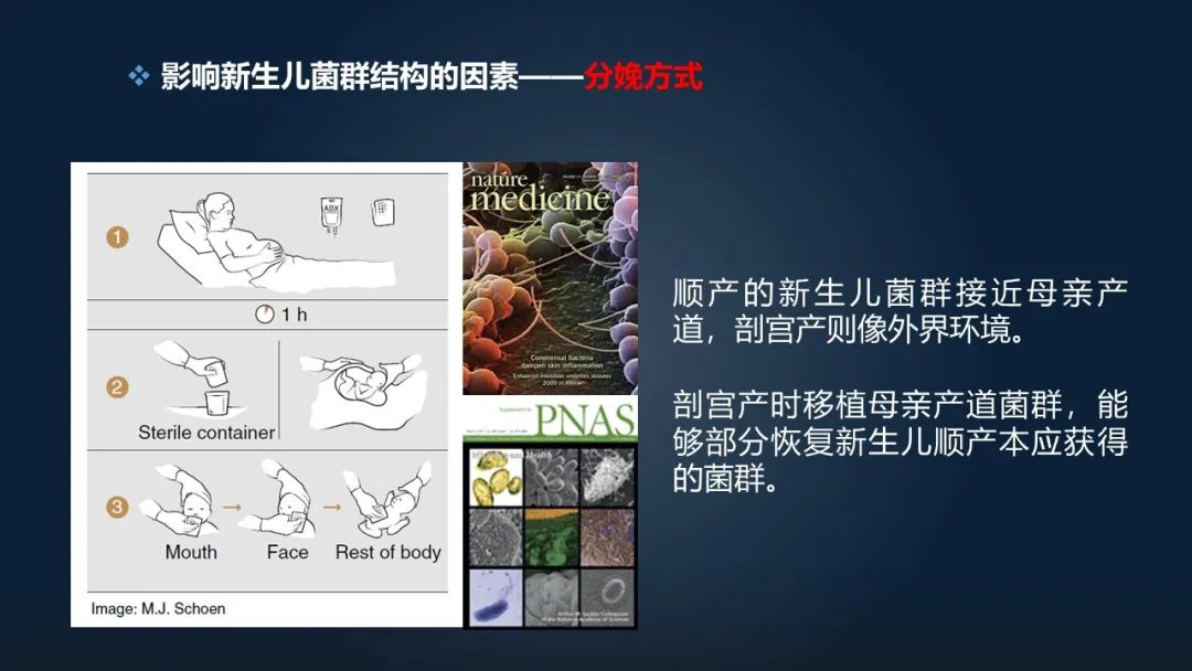 赵方庆：18分钟讲解母亲如何将菌群遗传给后代