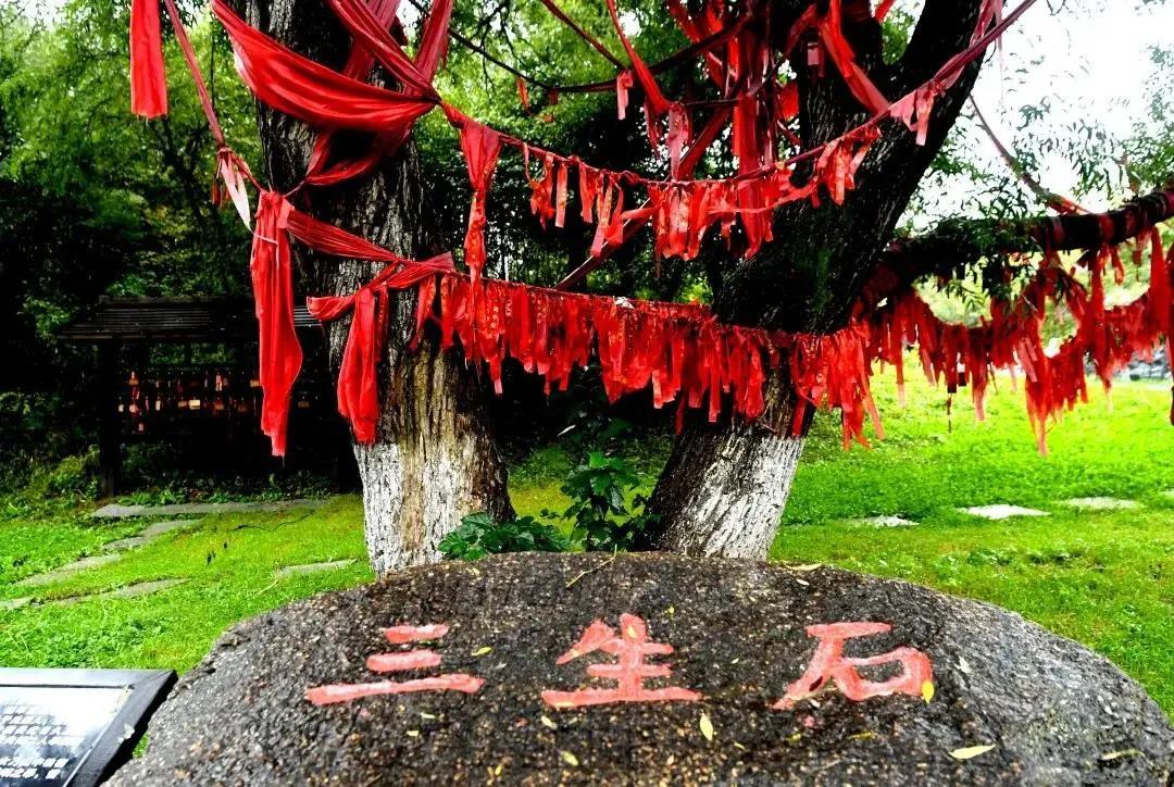 情深缘起重逢,情深缘起下一句