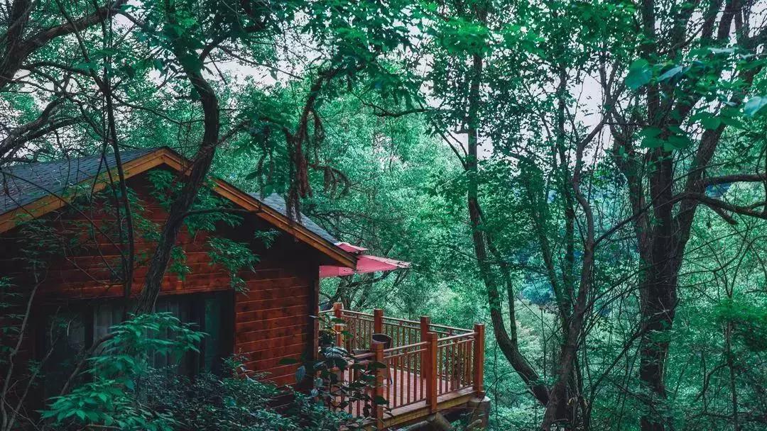 央视挖出来浙江冷门小城，小小鸭头都是世间绝味，人均100+住别墅