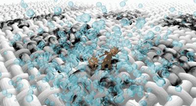 衣服发黄别扔教你清洗妙招,衣服发黄漂白生活小妙招大全