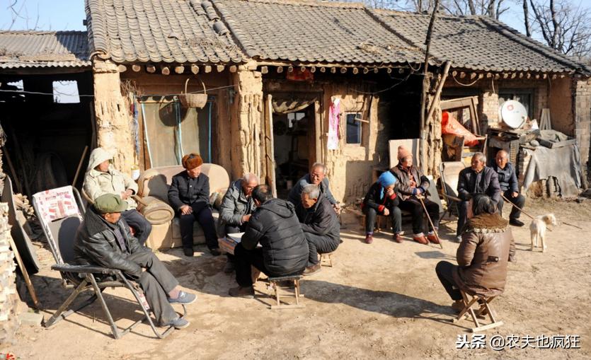 猪年好年景,2019猪年年景