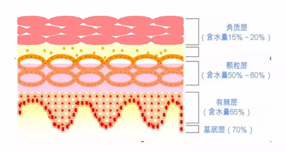 冬天面部角质层薄起皮泛红,换季敏感皮肤泛红脱皮怎么办