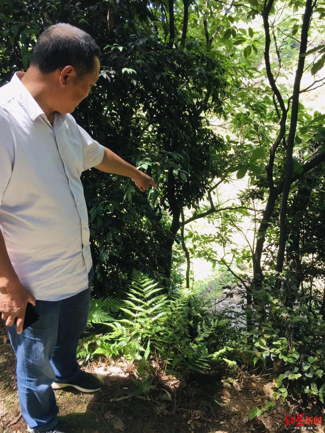 14岁少年杀害表姐案件,14岁少年杀害表姐14年后被抓获