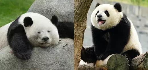 手残党单眼皮适合的眼影教程,原来手残党画眼影也没那么难