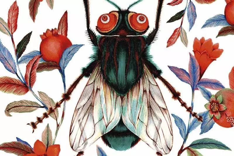 gucci新艺术风格,gucci古典美学