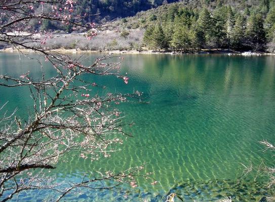 从康定开始一路都是绝美风景,从康定到新都桥景色视频