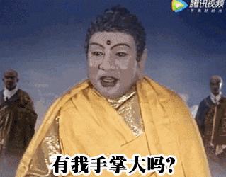 仓鼠种类大仓鼠,仓鼠的详细资料仓鼠的种类