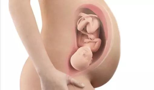 孕妈可以按摩吗,孕妈可以按摩椅按摩吗