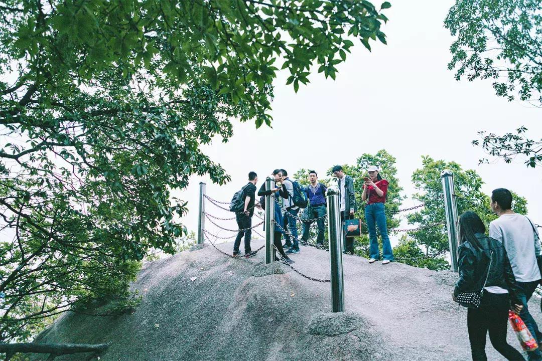 深圳这座城市很美,深圳这座城市风景太美了