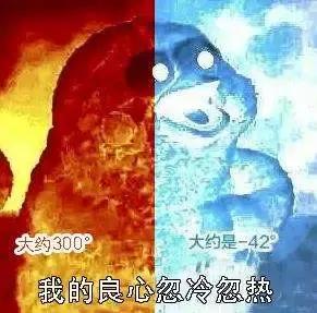 吃鸡有什么忌口,关于吃鸡关于忌口