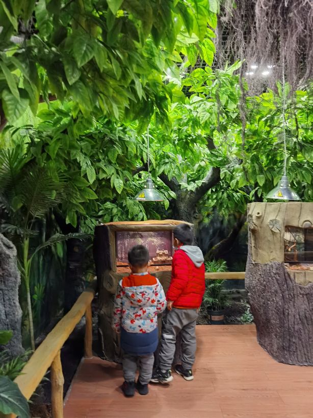 青岛海信科学探索中心一楼,青岛海信科学探索中心视频