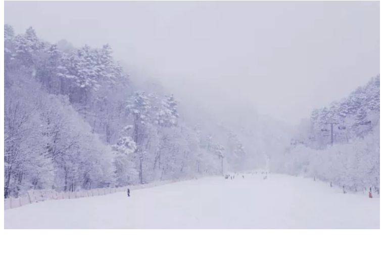 韩国滑雪场哪个最好玩,国内必去十大滑雪场滑雪攻略