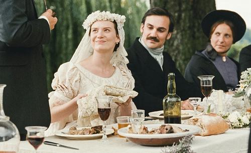 包法利夫人的时代悲剧,包法利夫人短暂的一生