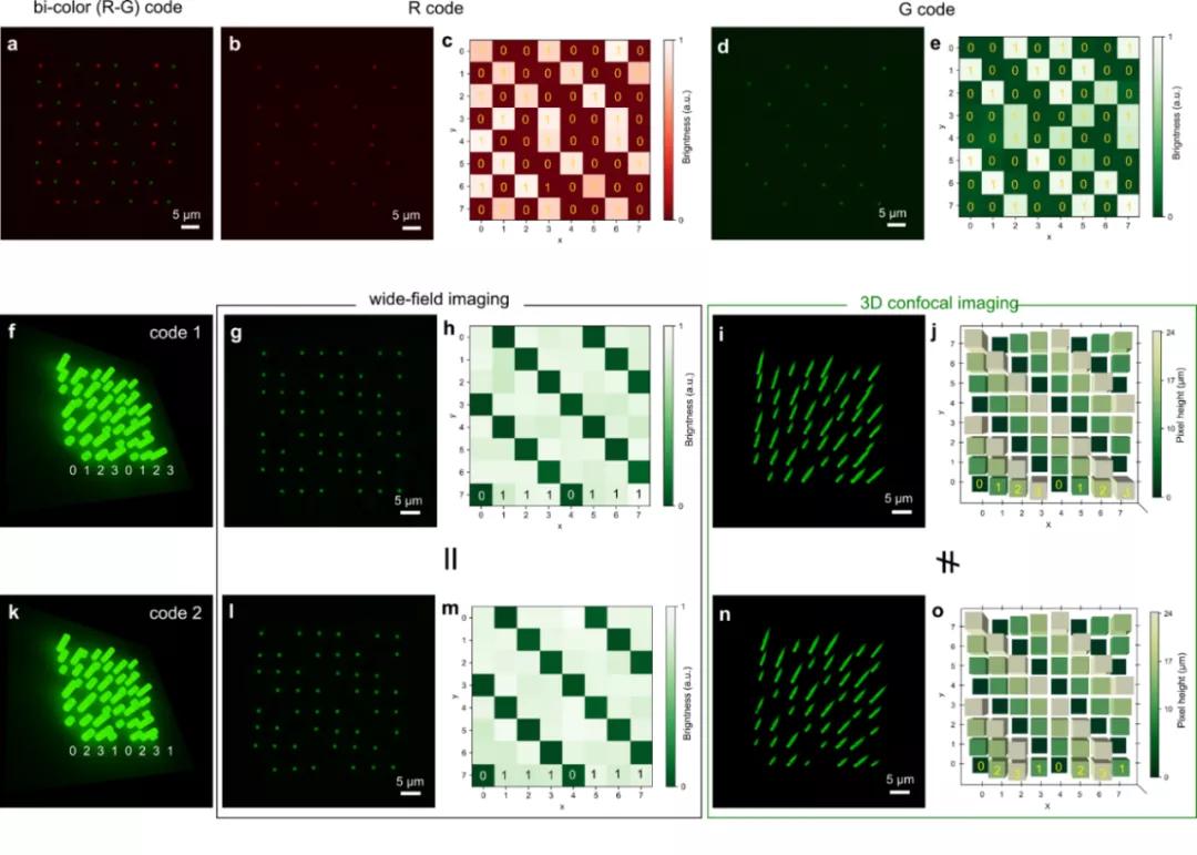 香港大学钙钛矿,香港大学磁共振成像