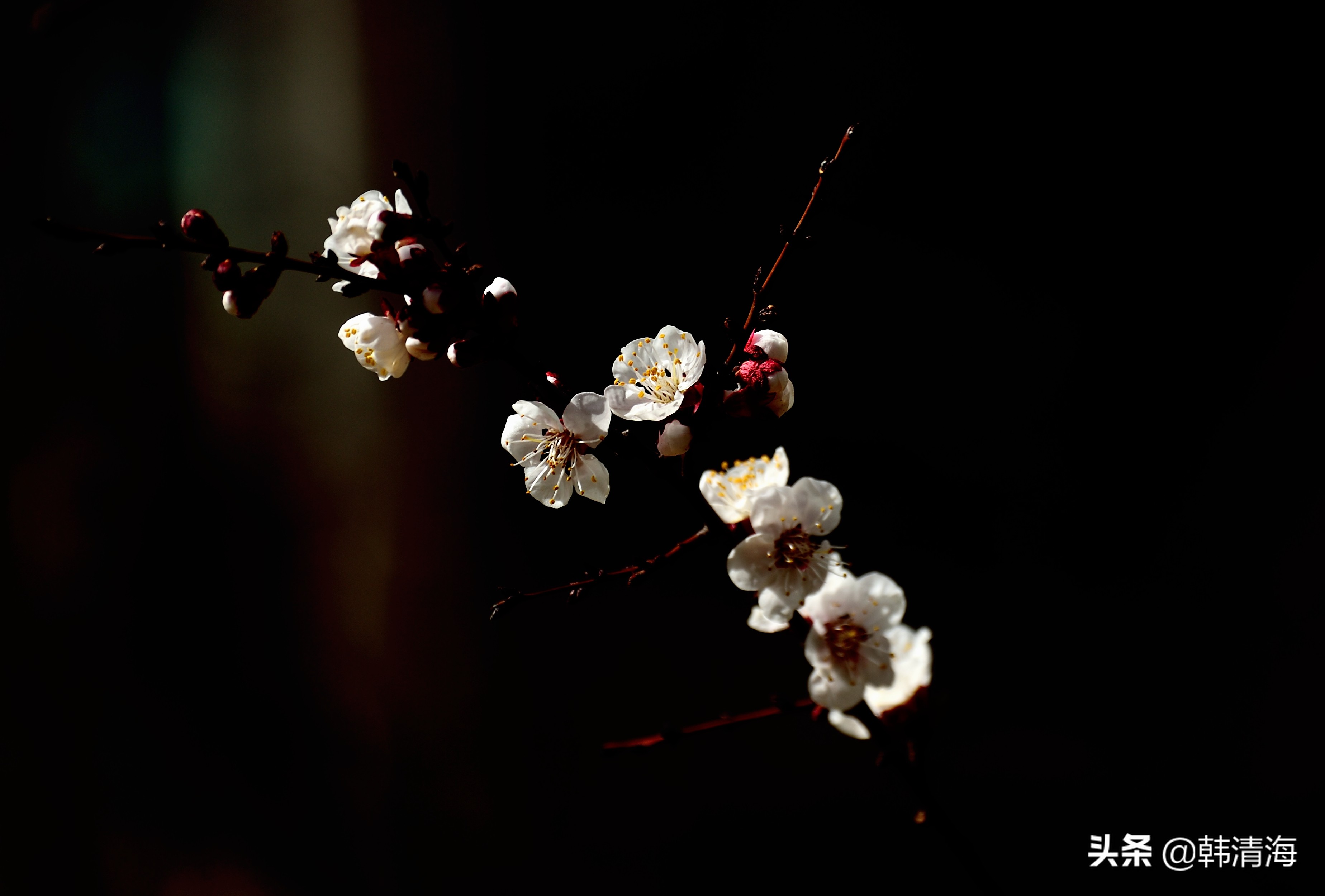天津市南开区水畔花园简介,天津南开水畔花园洋房