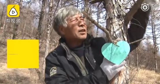 凉山火灾幸存消防员出现应激反应,木里火灾幸存消防员出现应激反应