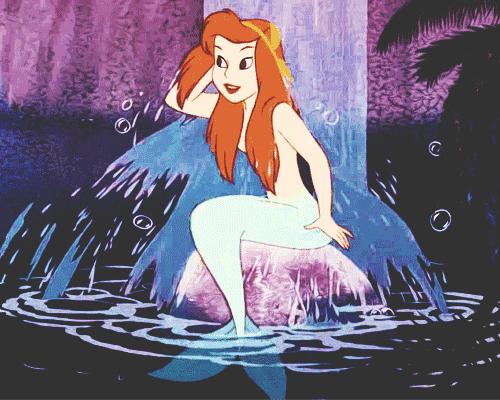 洗猫妙招,洗猫绝招