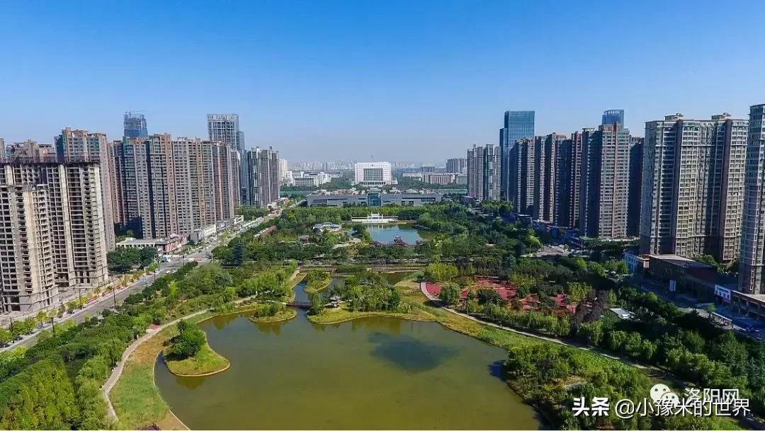 河南洛阳发布最新通知,洛阳牡丹花会向全世界发出邀请