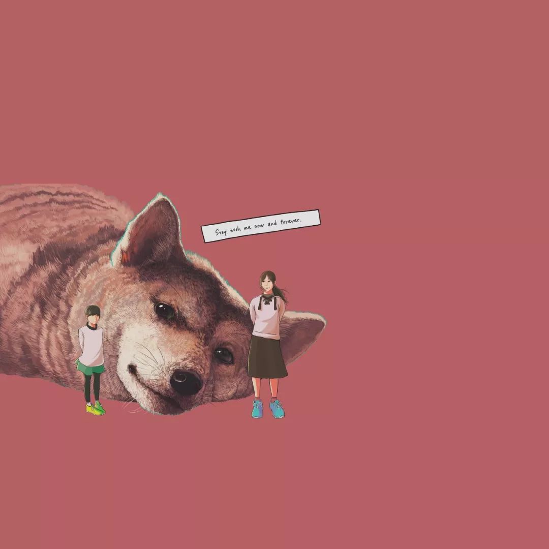 ipad用什么壁纸软件,壁纸ipad高清无水印