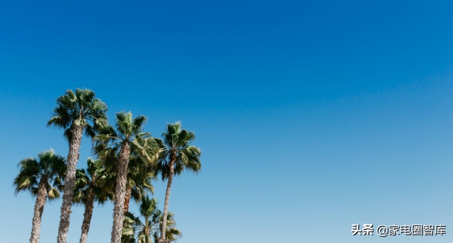 京东登顶家电零售霸主,家电零售商未来发展趋势