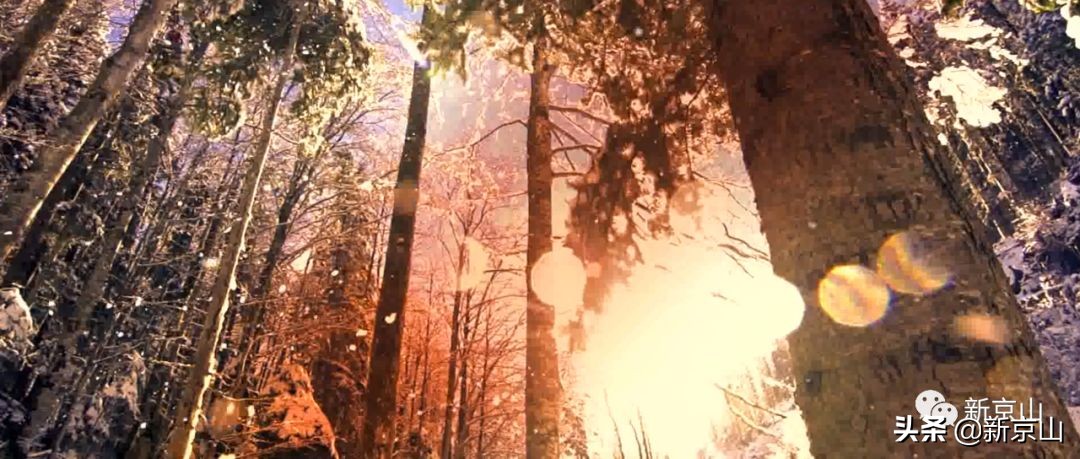 京山凉爽的旅游景点有哪些,生态京山景点