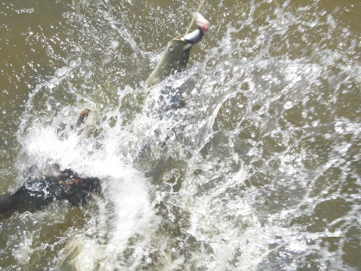 钓亚马逊神秘鱼种,游钓亚马逊河纪录片