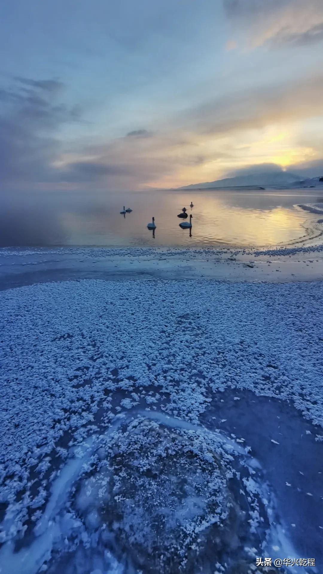 手机摄像头与相机镜头有什么区别,手机摄像头双镜头的作用