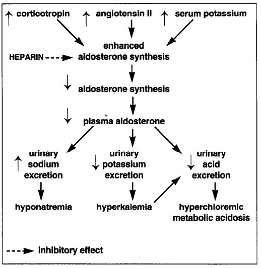 肝素疗法少见并发症只知道HIT?HIH你也应该了解