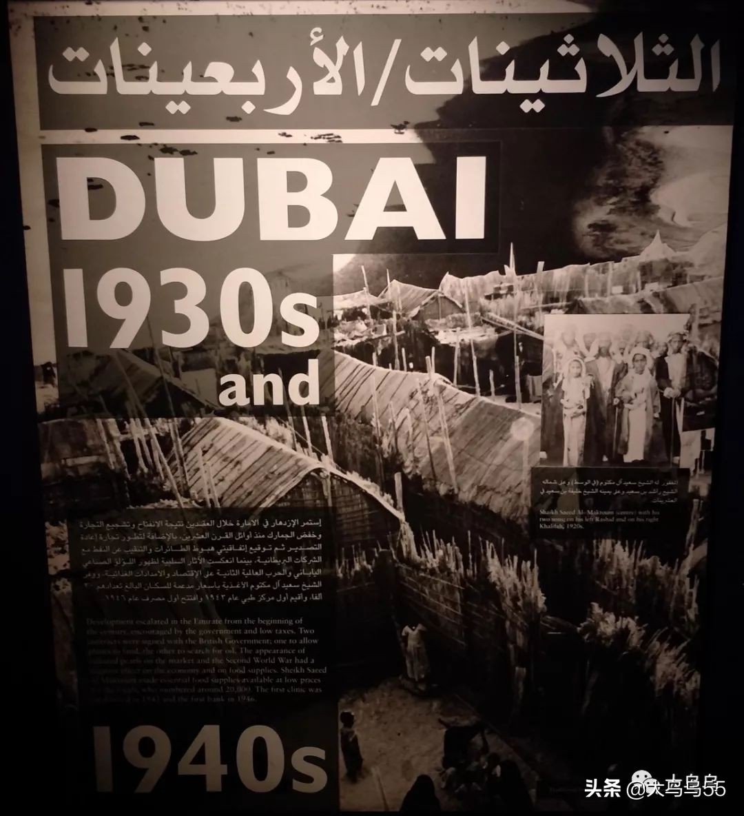 全球旅行迪拜游,迪拜菜鸟出国游