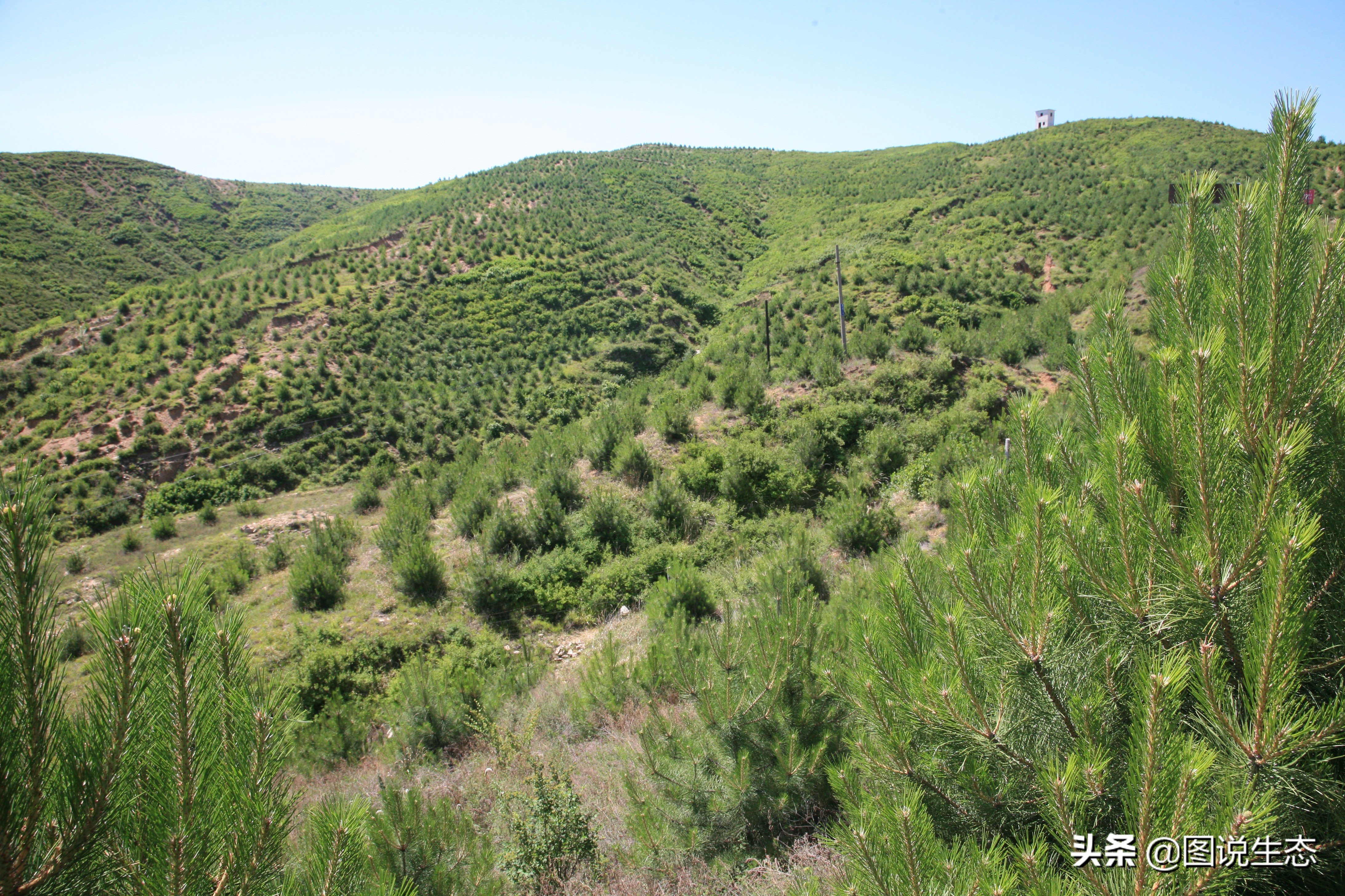 20年风雨治沙路，绿水青山秀丰宁