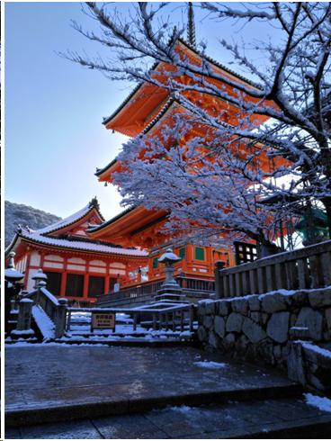 来到日本不能错过章鱼小丸子,来东京不能错过的地方