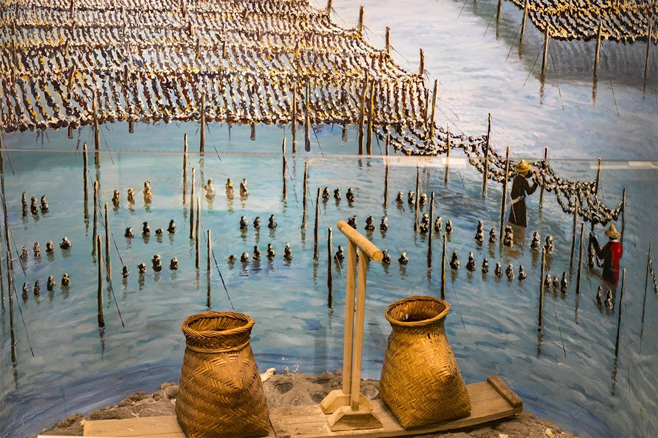 深圳周末带孩子免费游玩好去处,2021深圳免费适合遛娃玩地方排名