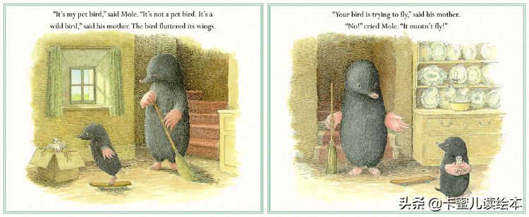 英文绘本动画故事完整版,英语绘本鼹鼠和小鸟