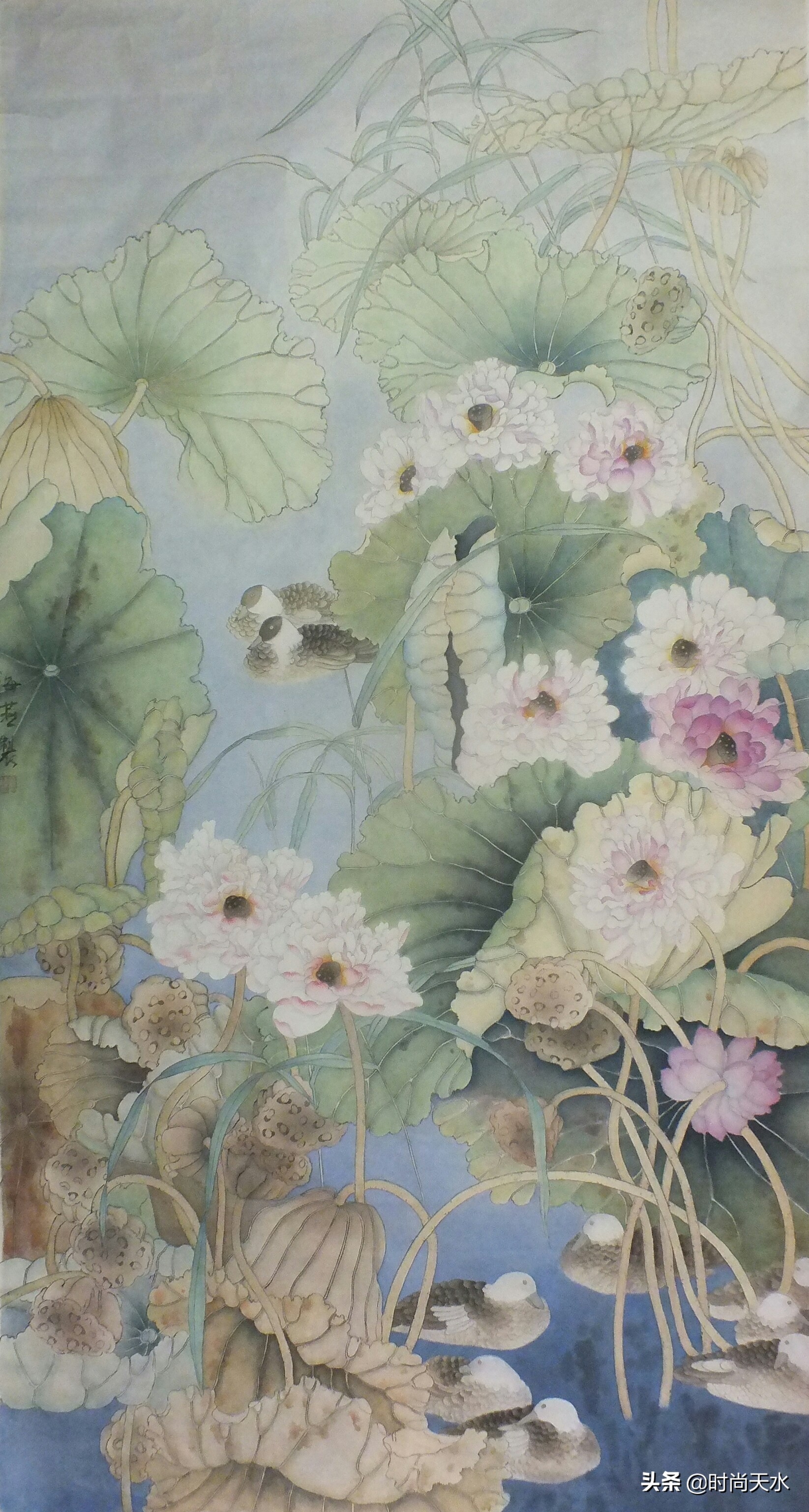 黄海燕牡丹仙子照片,牡丹仙子黄海燕