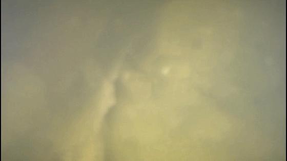 潜行多睿教程,潜行多睿