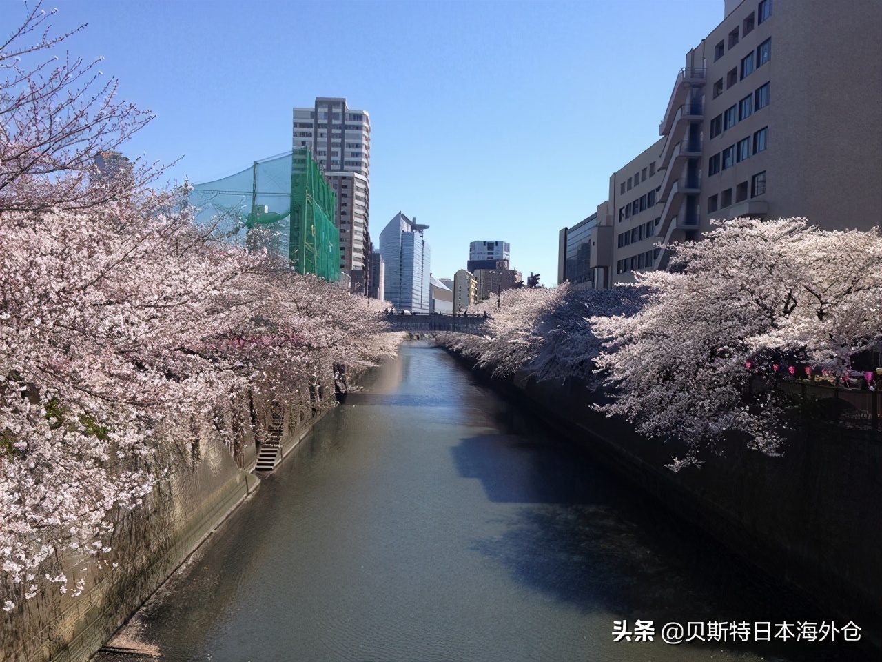 日本东京哪个区比较好,日本东京二十区排名