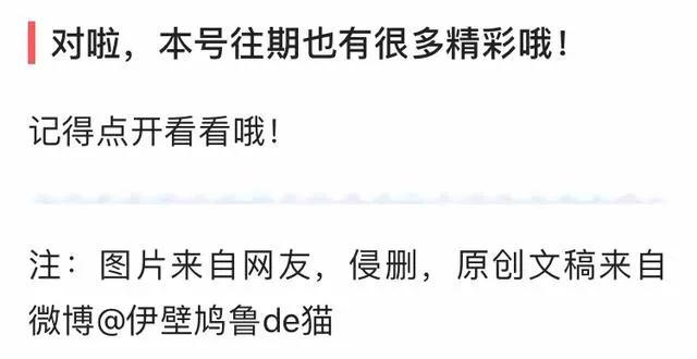 精品玉兰的品种及图片,国兰花朵不艳丽但香气清雅