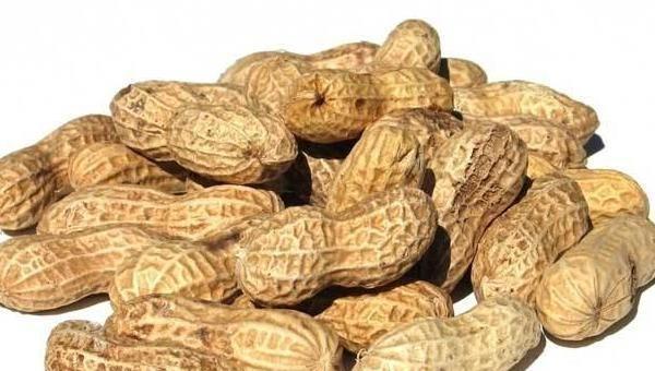 新型农村创业商机新项目,农村创业致富小机器